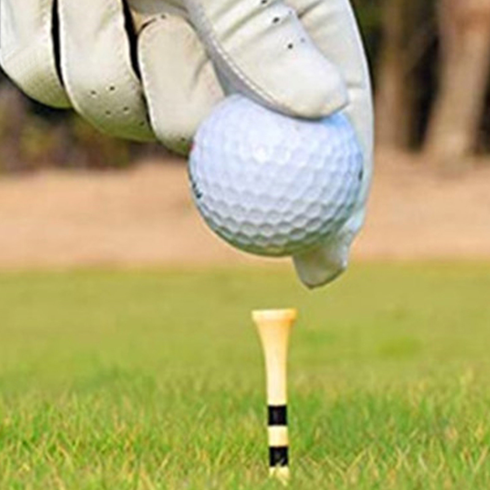 100 Buah Aksesoris Peralatan G - Golf Equipment Holder ulasan dan harga